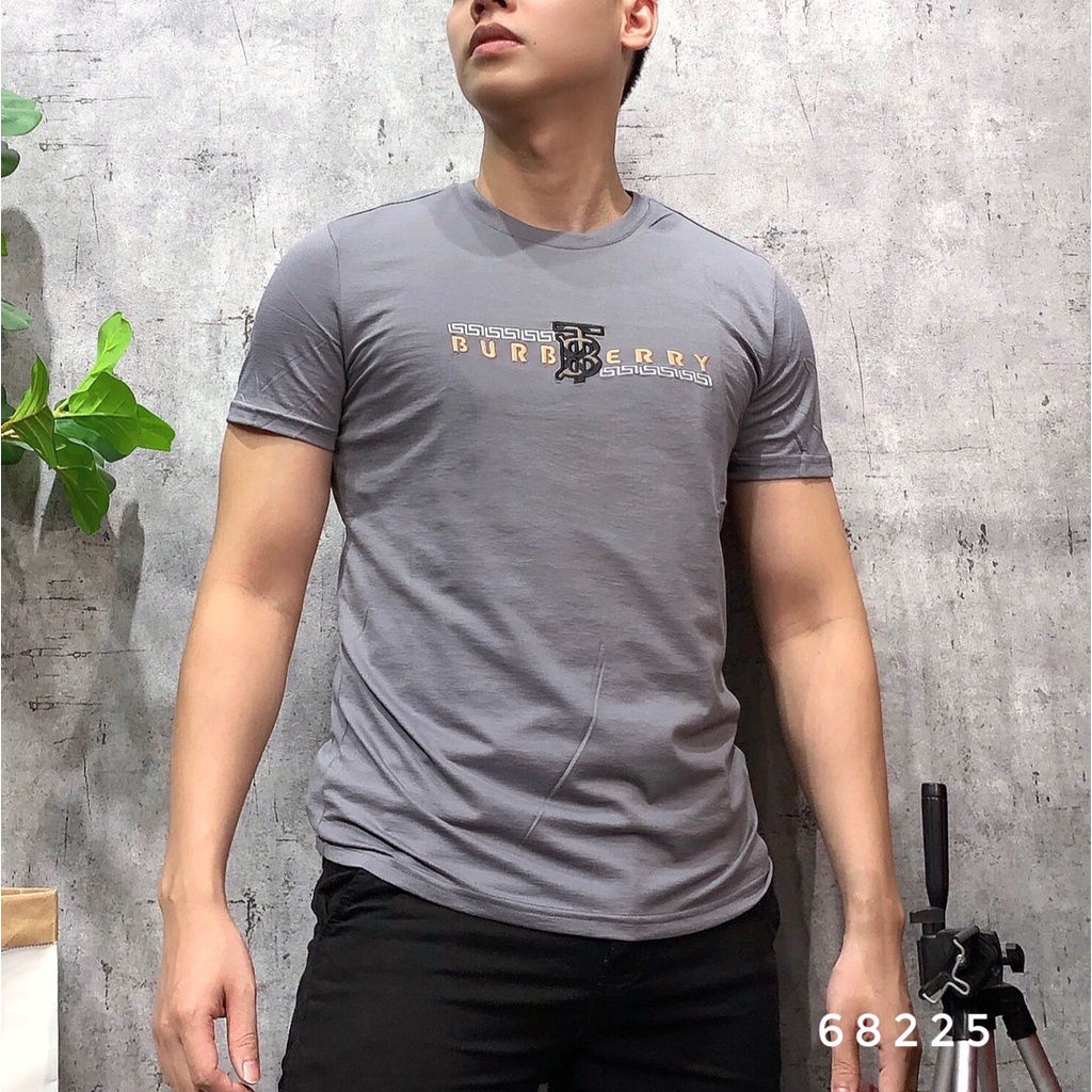 Áo phông nam cổ tròn ngắn tay bigsize áo thun thời trang cao cấp APNH - 31 - 68225