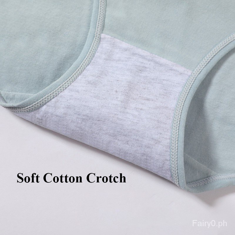 Quần Lót Cotton Lưng Cao Plus Size M-2XL