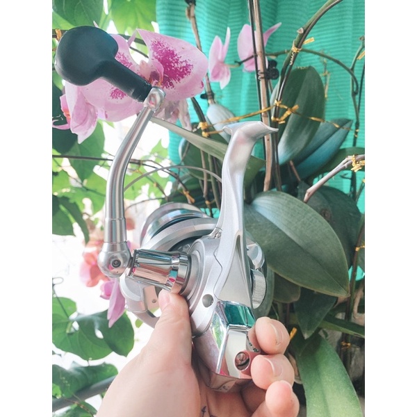 Máy câu cối nông Daiwa QD Crosscast 5000