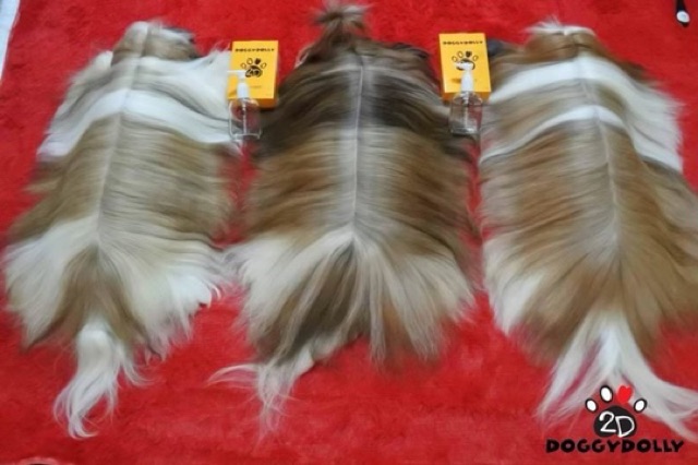 Dầu dưỡng lông kim luôn dầu thơm của doggy dolly 🇹🇭