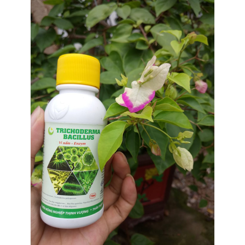 Nấm đối kháng Trichoderma- 110ml