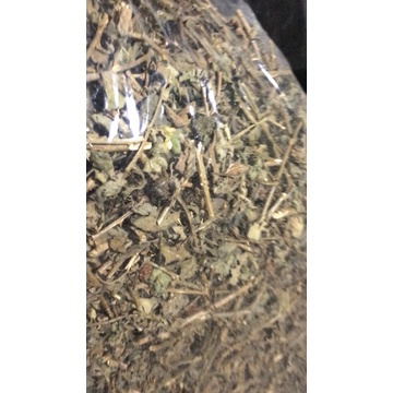 Cà gai leo khô 1kg