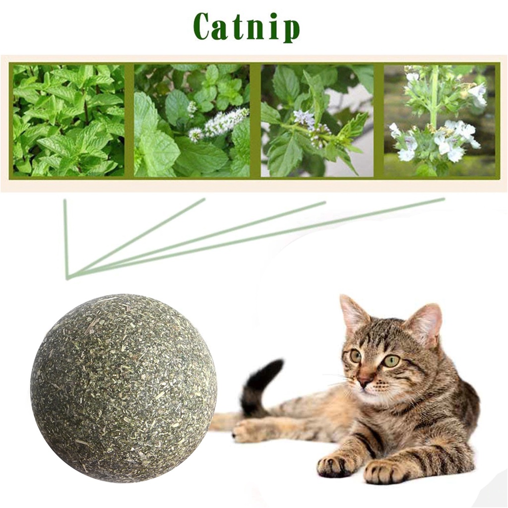Đồ Chơi Cho Mèo Cỏ Mèo Catnip Dạng Bóng Xoay Tròn #MintPet