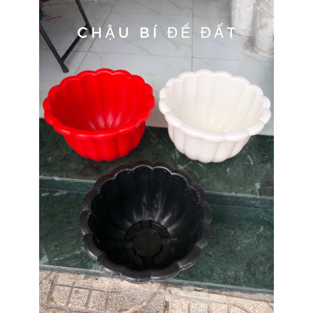Chậu nhựa Bí để đất