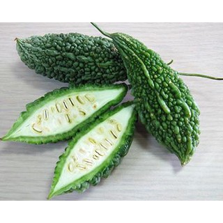 Hạt giống mướp đắng - Rau củ quả trồng tại vườn, sân thượng, nông trang, ban công
