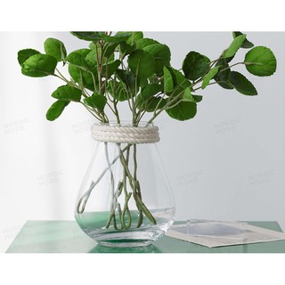 Lọ Hoa Thủy Tinh Trong Suốt Phong Cách Châu Âu PT052 - Bình Cắm Hoa Trong Suốt