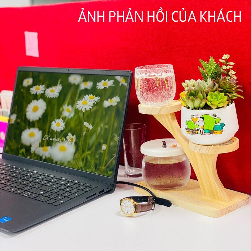 Kệ Gỗ Trang Trí Decor Xinh, Kệ Để Bàn Đặt Chậu Sứ MINI Xương Rồng, Sen Đá, Để Chai Lọ