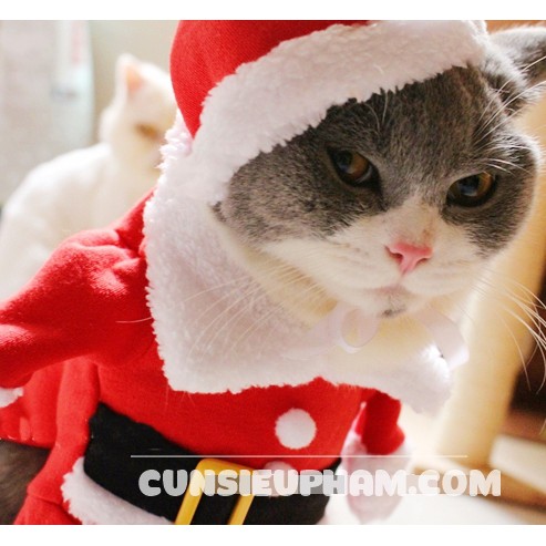 ÁO COSPLAY ÔNG GIÀ NOEL CHO CHÓ MÈO