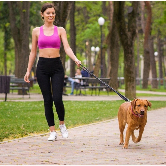 Dây dắt chó lớn Bella925 - Dây xích chó mèo dắt đi dạo dài 150cm chốt kim loại