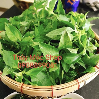 🌿 LÁ É TƯƠI PHÚ YÊN - 1KG NGUYÊN CÀNH - HÀNG LUÔN CÓ SẴN