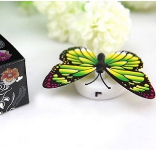 Đèn LED bươm bướm lãng mạn dễ thương - Đèn ngủ Bướm phát sáng Molangshop