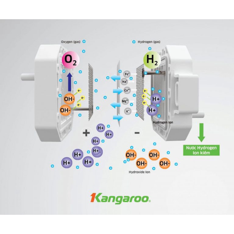 [MIỄN PHÍ LẮP ĐẶT] Máy lọc nước Hydrogen Kangaroo ion kiềm điện phân KG100EO