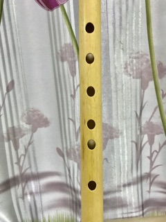 Sáo trúc tone Bb (free ship)