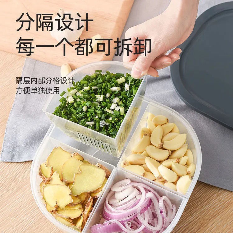 PVN31859 Hộp chia 4 ngăn bảo quản thực phẩm tươi hành lá gừng tỏi, hộp đựng thức ăn để tủ lạnh tươi lâu T2 .
