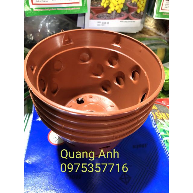 [SIEURE] 10 CHẬU NHỰA TRỒNG LAN GIẢ GỐM ĐẤT NUNG (145 x 100mm) hàng đẹp, phân phối chuyên nghiệp.