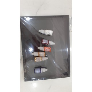 Combo hộp kiếng đen và 6 chai bột vẽ Fol