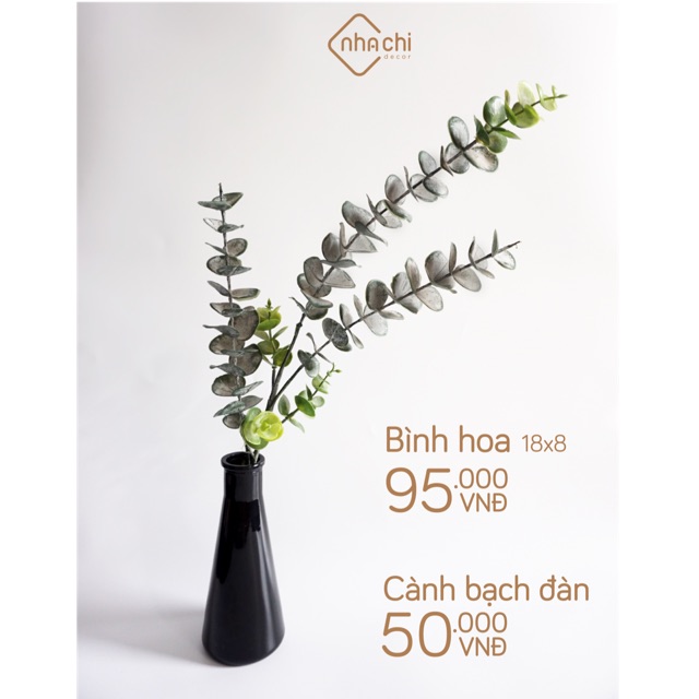Cành lá bạch đàn