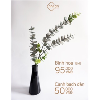 Cành lá bạch đàn