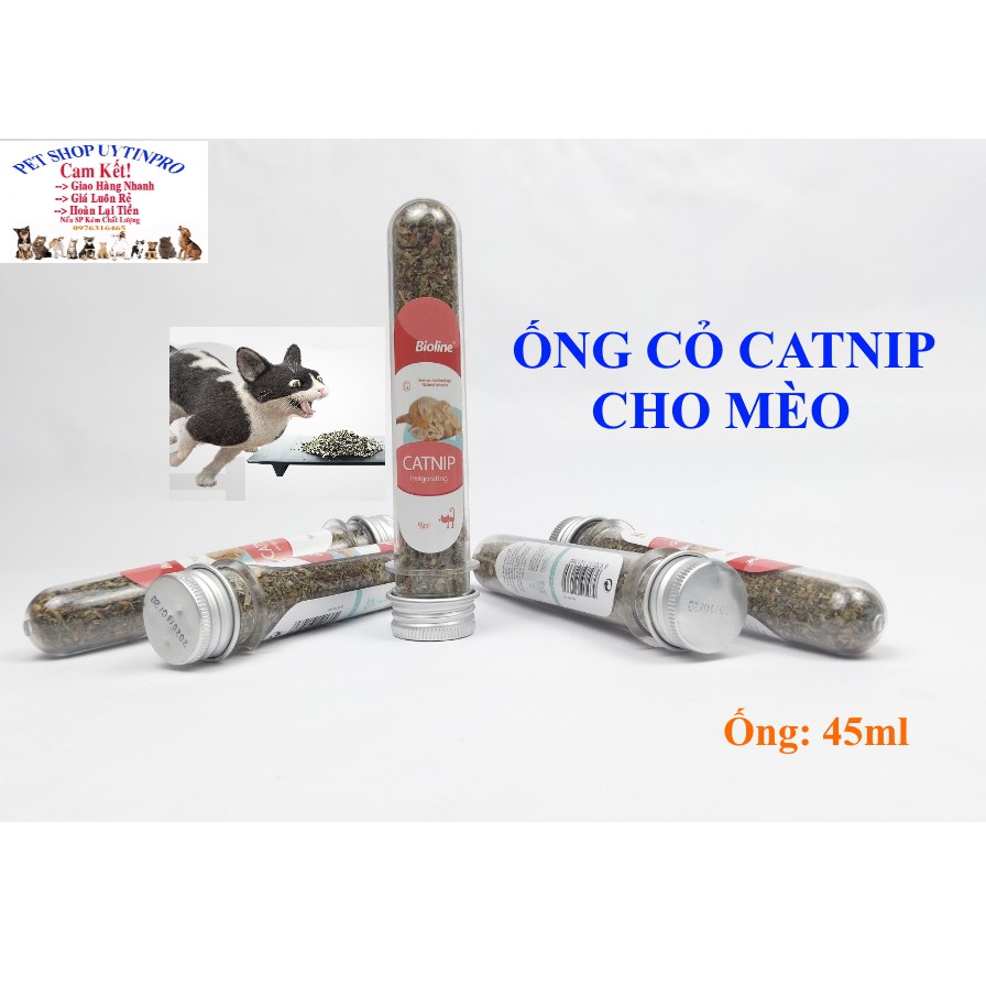 ỐNG CỎ CHO MÈO Bioline Catnip Ống 45ml Giúp Mèo thư giãn sảng khoái - Pet shop Uytinpro