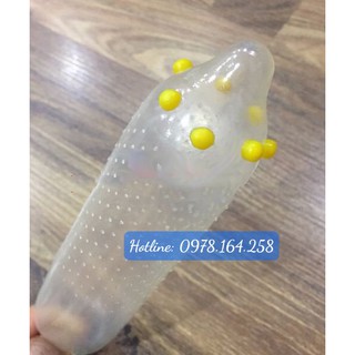 BCS 6 bi sướng