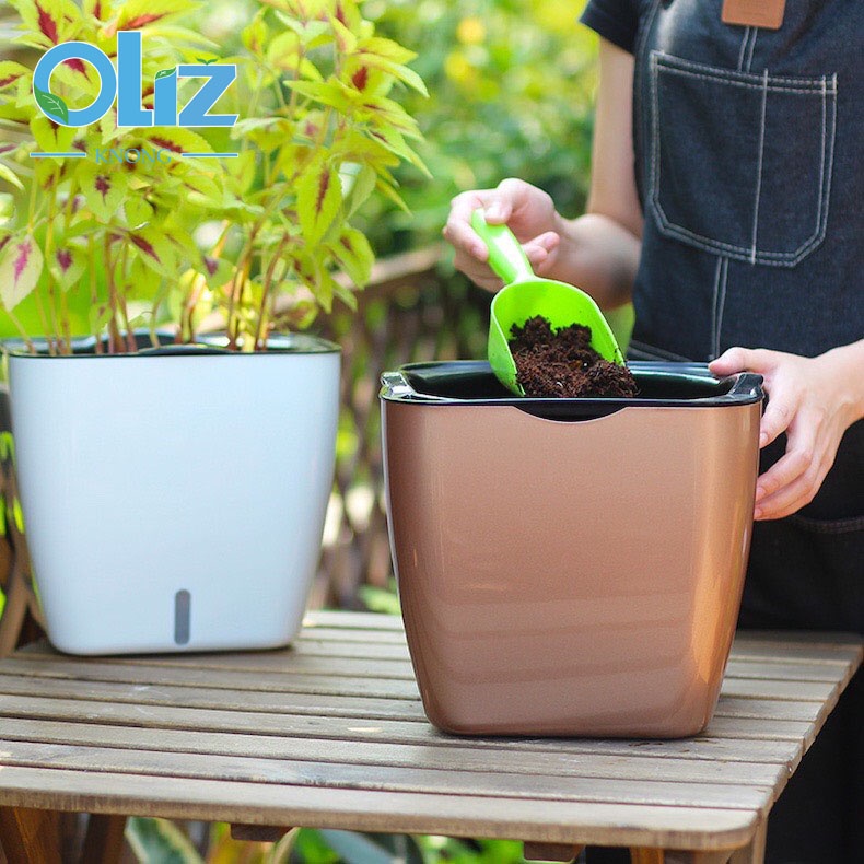 Chậu trồng cây thông minh Oliz Knong G113, tự tưới nước mẫu mới nhất
