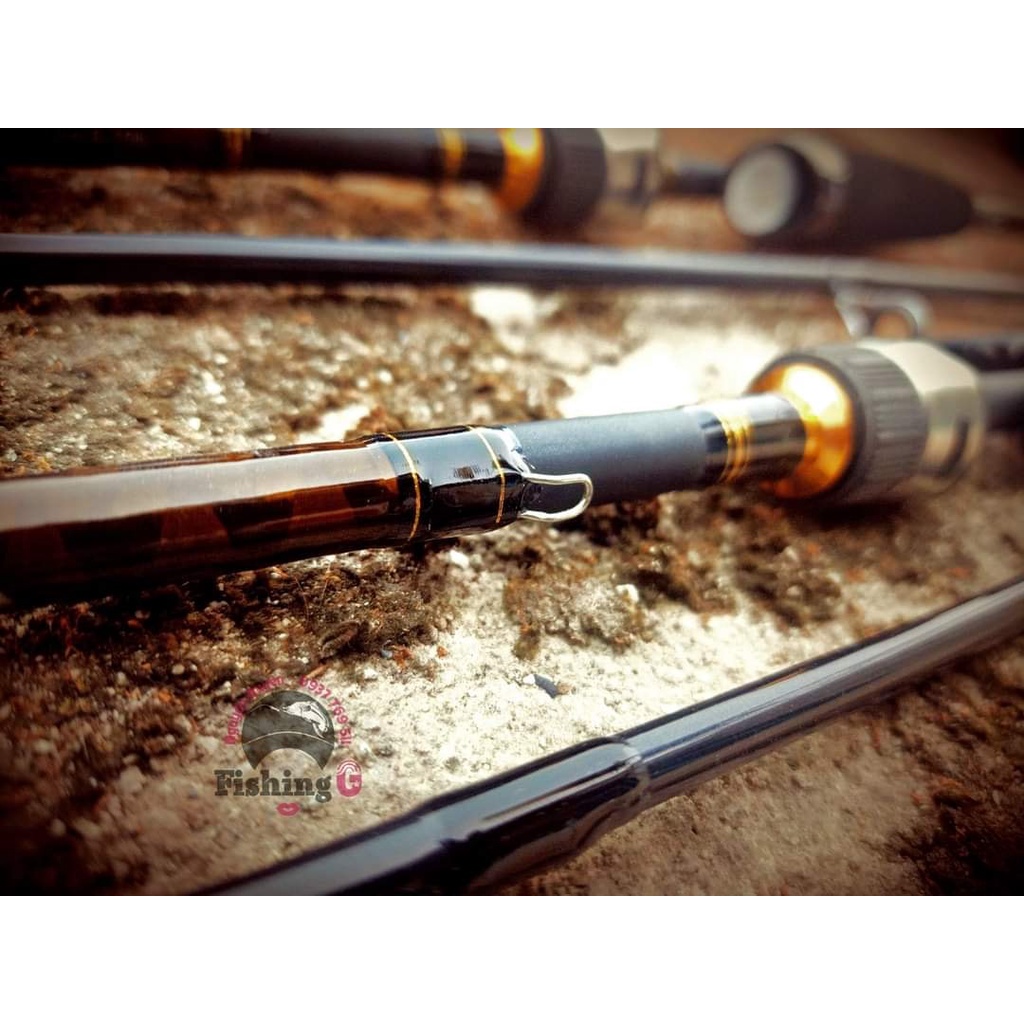 Cần Daiwa Câu lure AIRD X