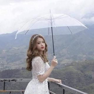 Ô dù trong suốt