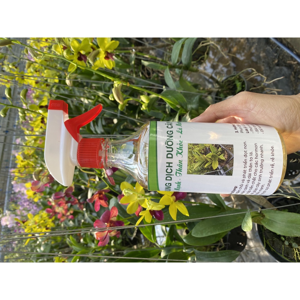 Dung dịch dưỡng cây - Phun trực tiếp dành cho cây hoa lan Dendro