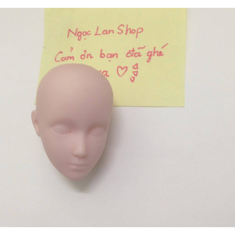 Các loại đầu Xinyi chưa trang điểm