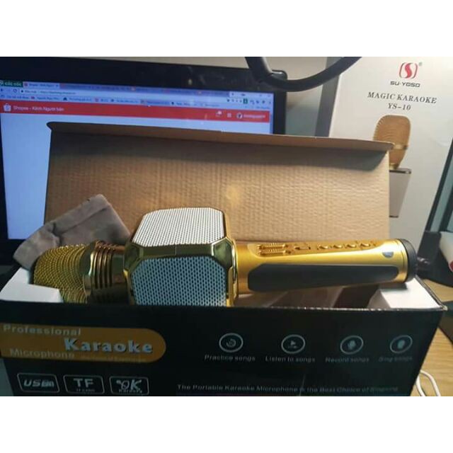 Micrro Karaoke SD-10