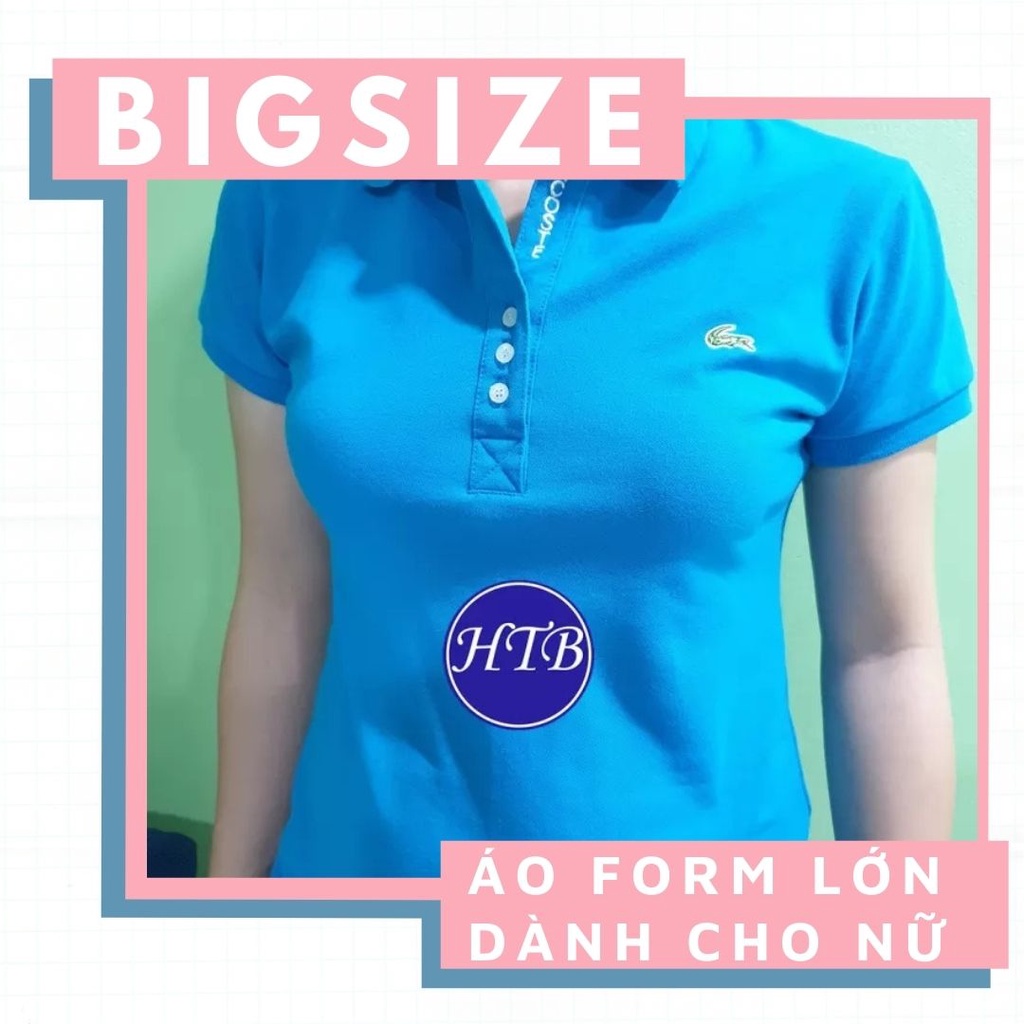 Áo thun cá sấu Nữ Cao Cấp Cotton co giãn 4 chiều [BIGSIZE - Từ 65kg->72kg]