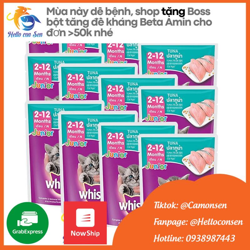 Combo 6 PATE CIAO/ PATE NEKKO/ PATE WHISKAS mix vị cho mèo trưởng thành