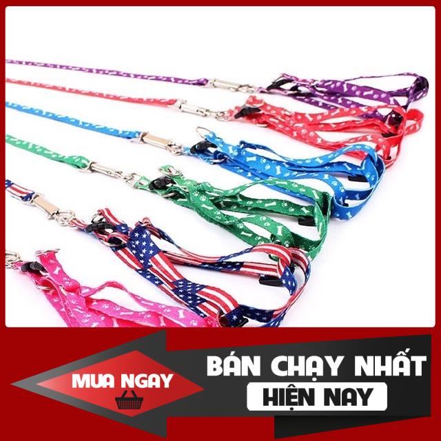 [❌GIÁ SỈ❌] DÂY DẮT CHO THÚ CƯNG DƯỚI 2KG ❤️