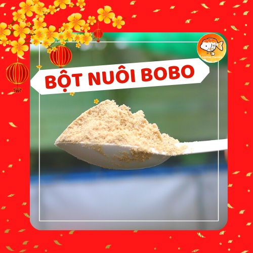 Bột Nuôi Bo Bo - Trứng Nước (Moina) Tại Nhà