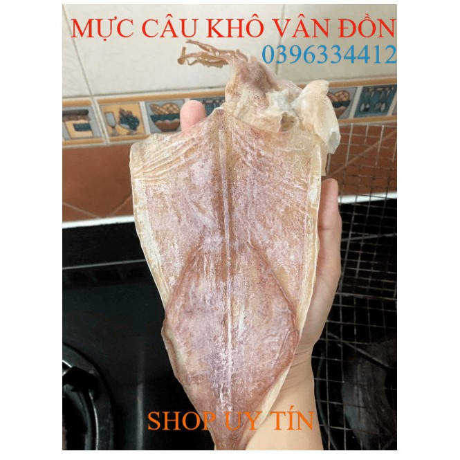Cực Ngon - 1 Con Mực Khô Câu Vân Đồn, To Bằng Bàn Tay, Y Hình, Khô Mực To Ngon