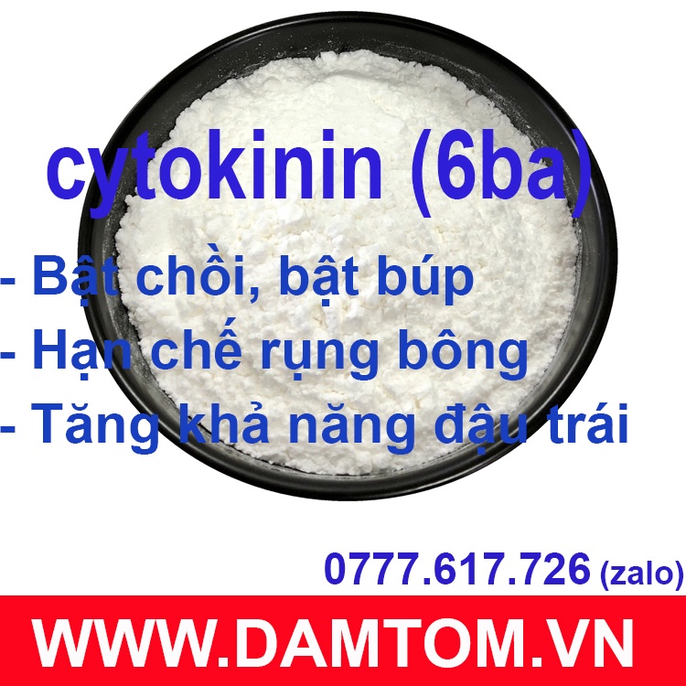 Cytokinin - 6BA 99%  Gói 50gr - tặng kèm dung môi