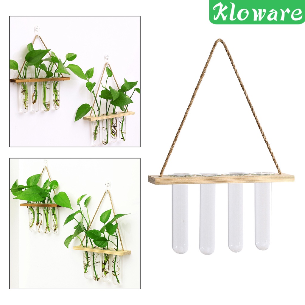 Chậu Kính Trồng Cây Có Móc Treo Tiện Dụng