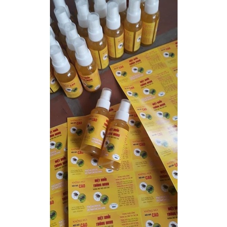Diệt ruồi thông minh, an toàn, hiệu quả