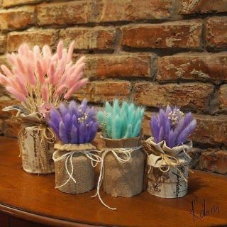 Cỏ đuôi thỏ bunny stail nhập khẩu- hoa khô cỏ đuôi thỏ