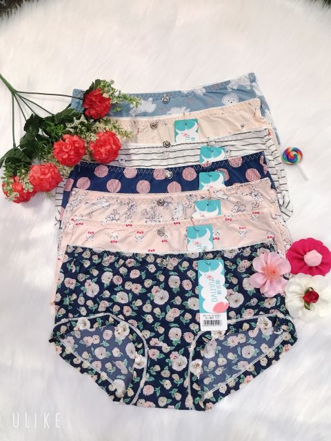 Quần lót đúc su điều hòa mát lạnh | BigBuy360 - bigbuy360.vn