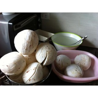 dầu dừa nguyên chất