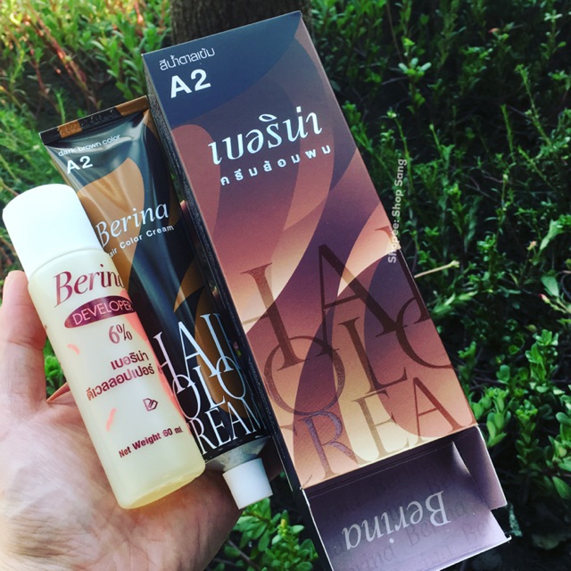 [ Nội Địa Thái] Nhuộm Phủ Bạc 100% Đen Hơi Nâu Berina A2