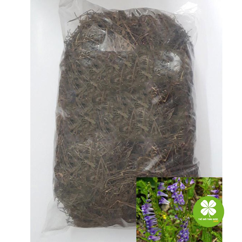 Cây bán chi liên (gói 1kg khô) - TD077