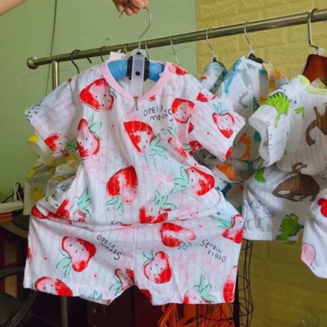 Bộ cotton giấy( mua 5 tặng 1)