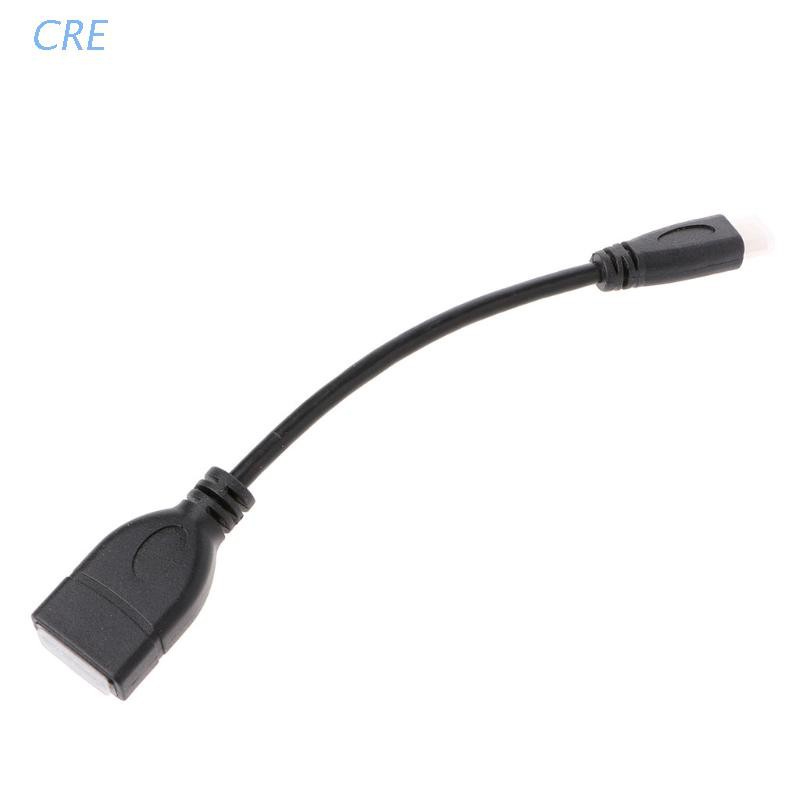 1 Dây Cáp Chuyển Đổi Cổng Micro Hdmi Type D Sang Hdmi Type A 16cm 6 Inch