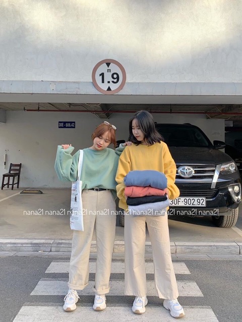 Áo Tay Dài Color Hoodie hàng nhập quảng châu đủ màu chất vải ni lót lông dày from chuẩn from rộng - áo couple áo đôi