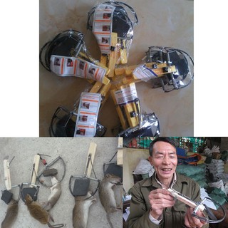 - Bộ 2 bẫy chuột không mồi