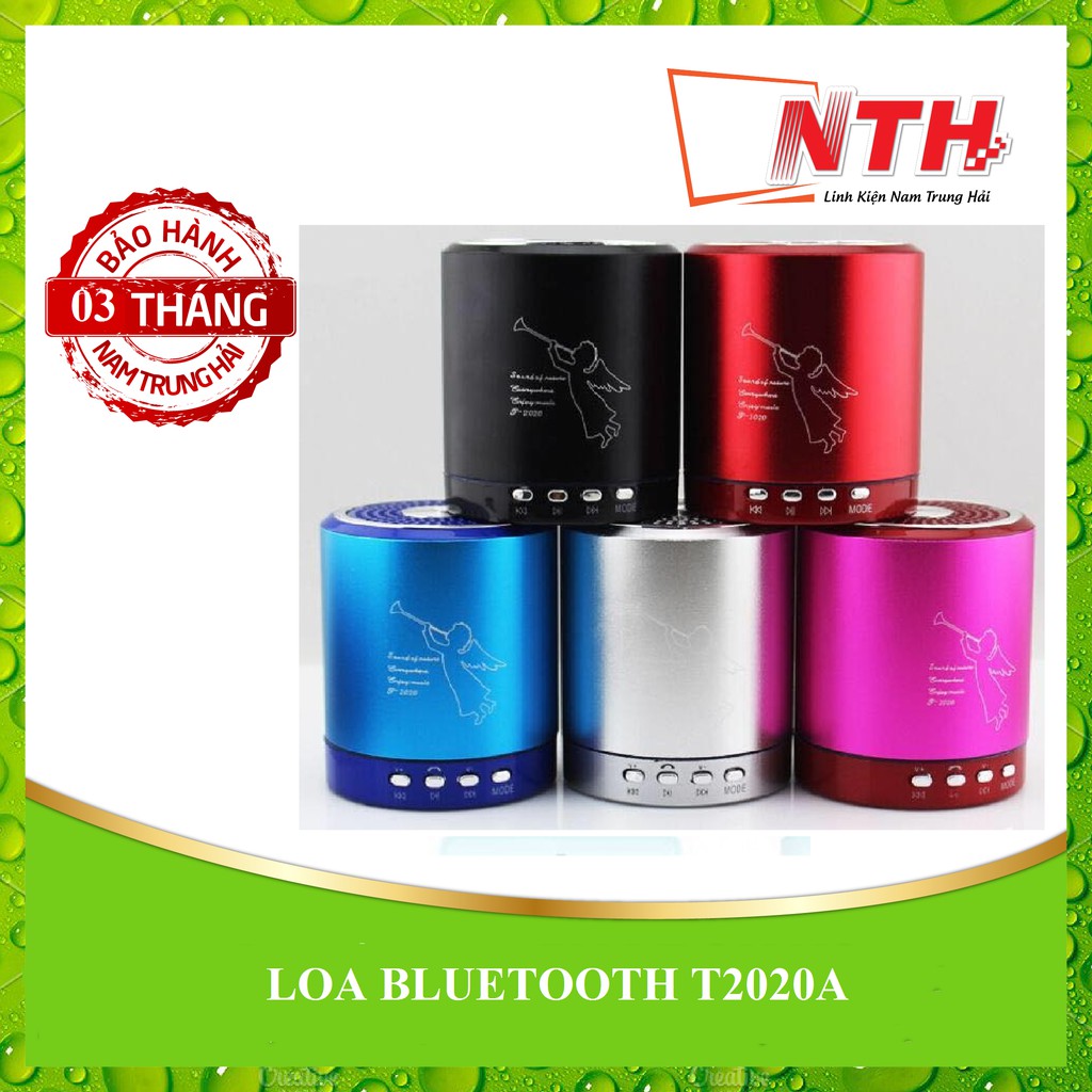 Loa di động T2020