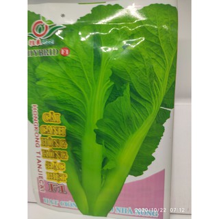 Hạt giống cải bẹ xanh Hồng Kong