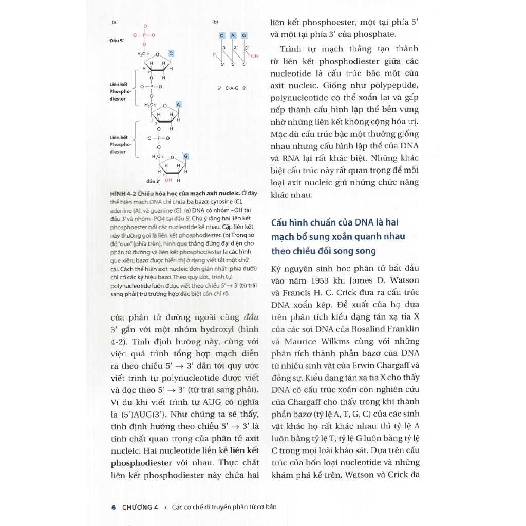 Sách - Sinh Học Phân Tử Của Tế Bào (Tập 2)